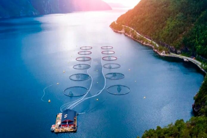 image_870x580_68aca3b7cdcbe