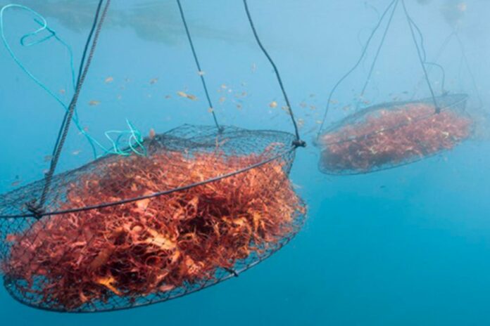 image_870x580_6910e85165f4f